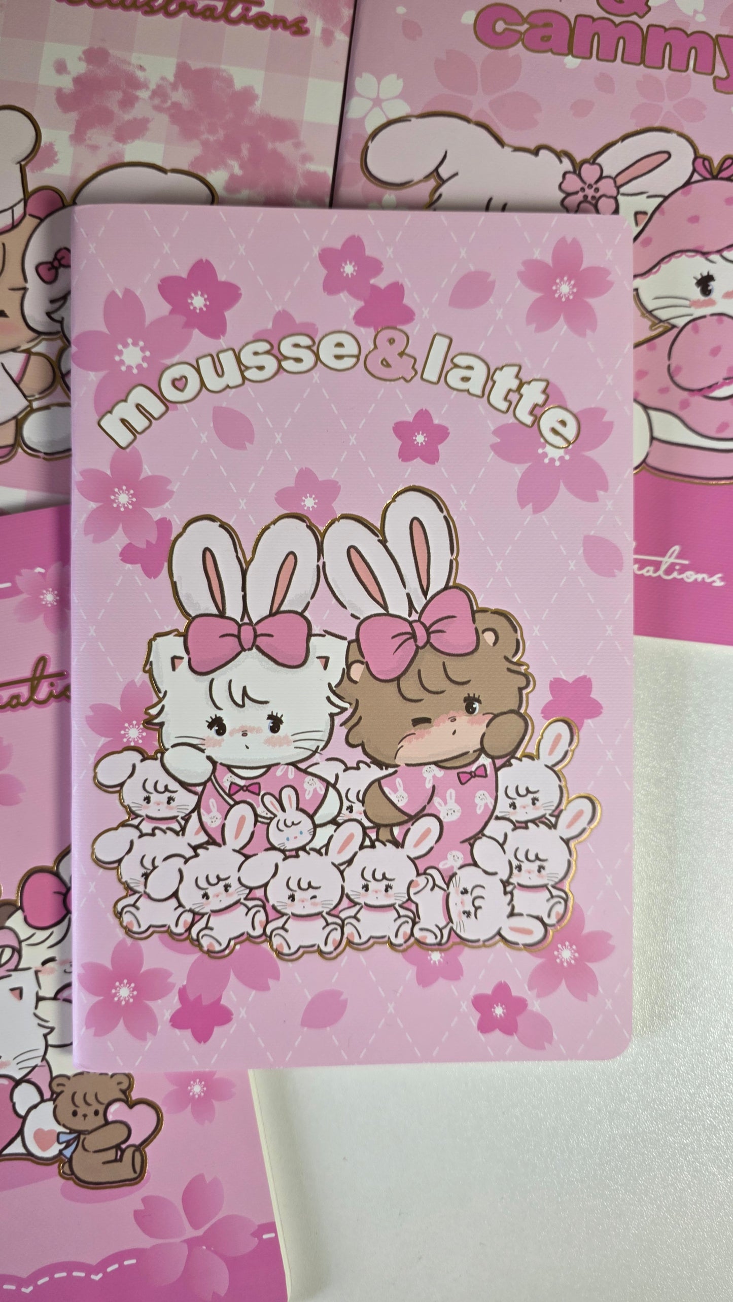 Buy 1 Get 1 Free Mikko Illustrations A5 Notebook Diary Journal