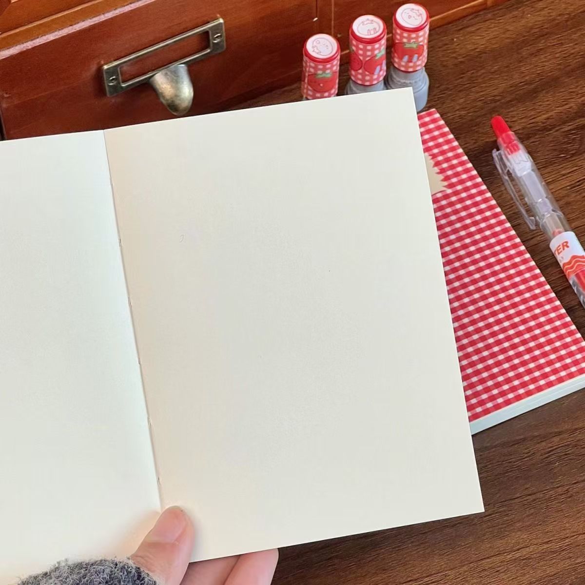 Tomato Gingham Mini Notebook Journal Diary