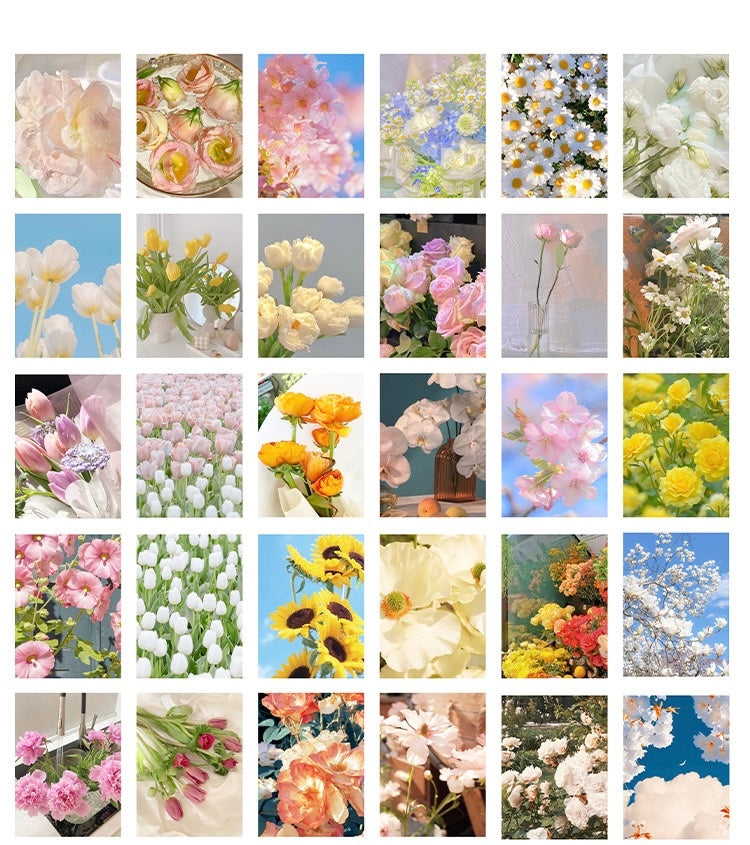 30 Sheets Scenery, Nature and Flowers Sticker Book