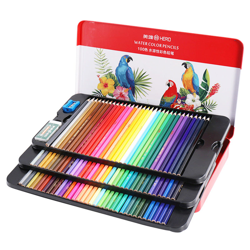 100 Water Color Pencils Box Colour