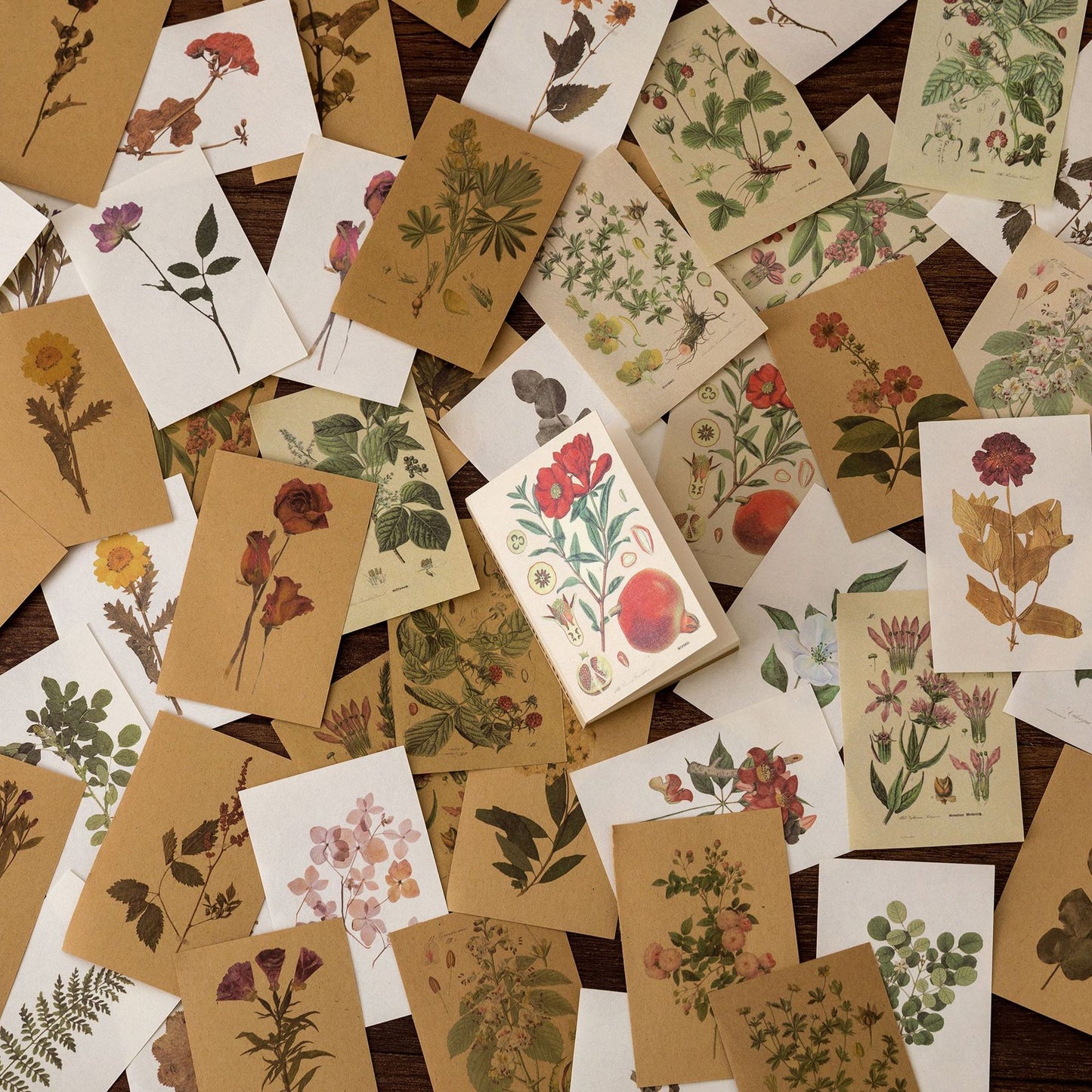 Candy Poetry – Vintage Mini Memo Books