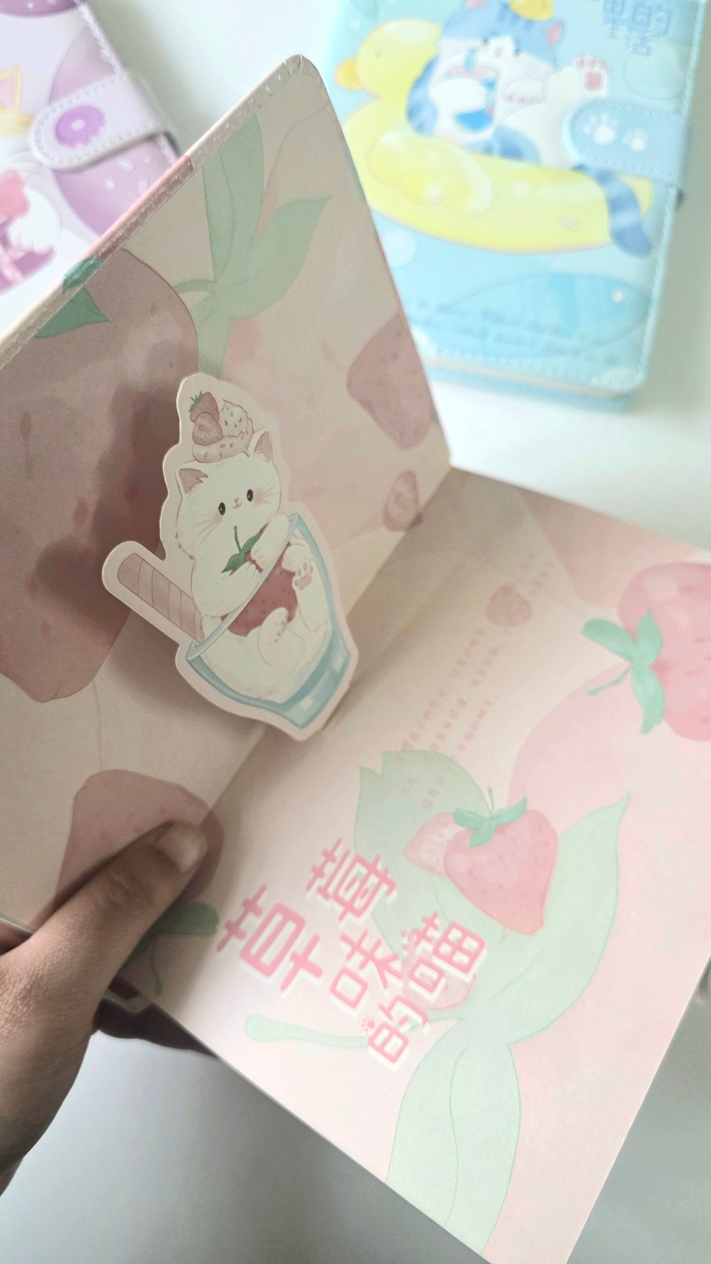 🐱🍓 Pastel Kitty Lock A5 Diary / Journal / Notebook