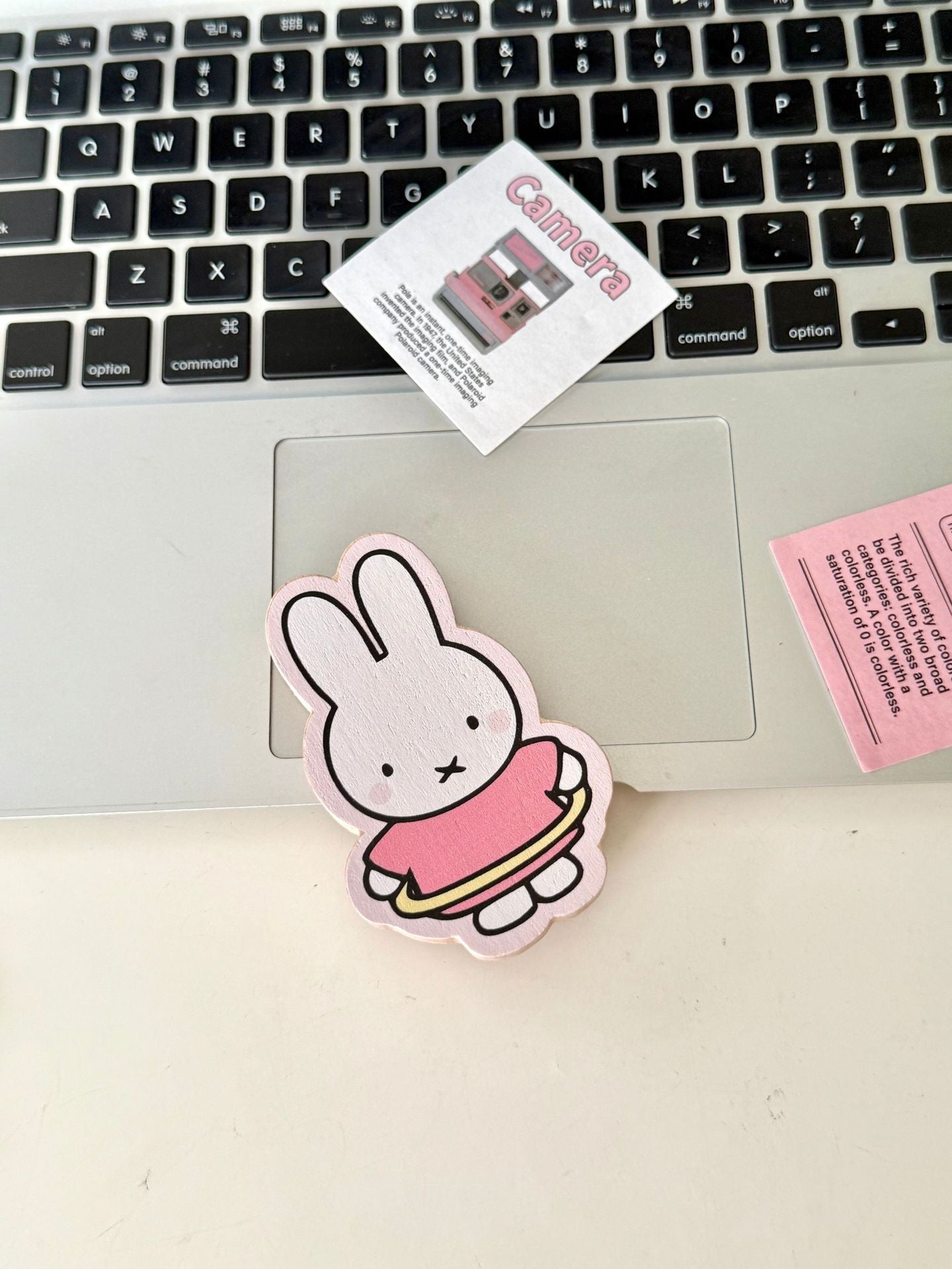 Kawaii Pastel Hello Kitty and Miffy Wooden Fridge Magnets with Bottle Opener